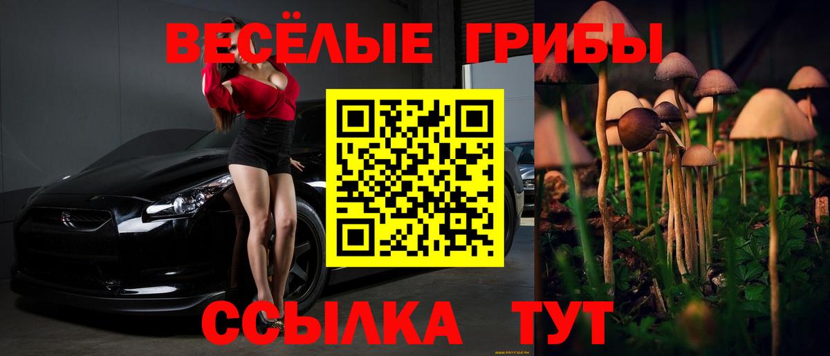 Бузулук  Галлюциногенные грибы MAGIC MUSHROOMS  Вход с VPN 